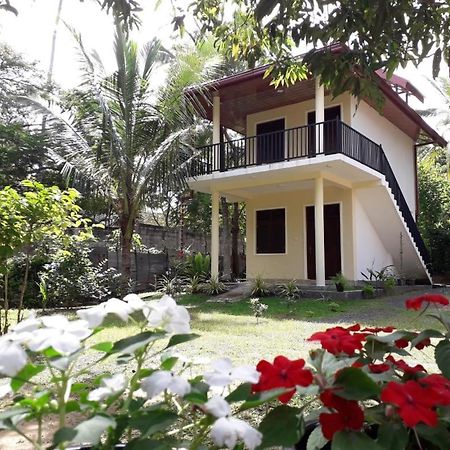 Blue Point Rest Ξενοδοχείο Tangalle Εξωτερικό φωτογραφία
