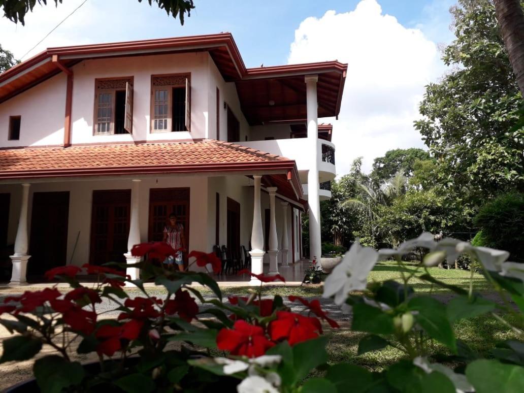 Blue Point Rest Ξενοδοχείο Tangalle Εξωτερικό φωτογραφία